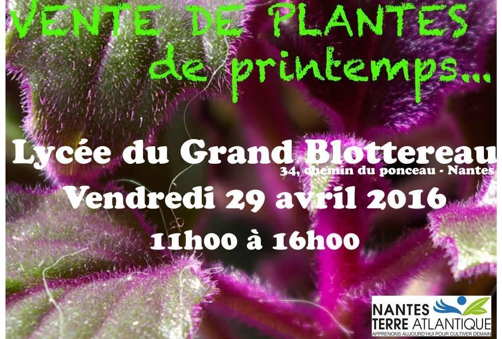 Vente de plantes au Grand Blottereau