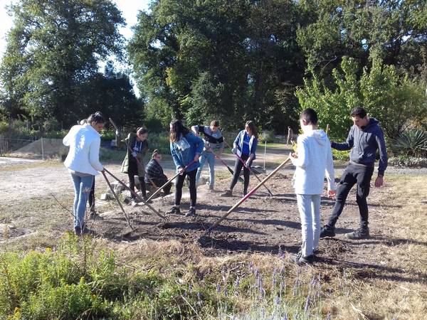 Initiation à l’horticulture au Grand-Blottereau