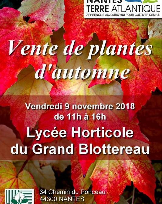 Vente de plantes d’Automne