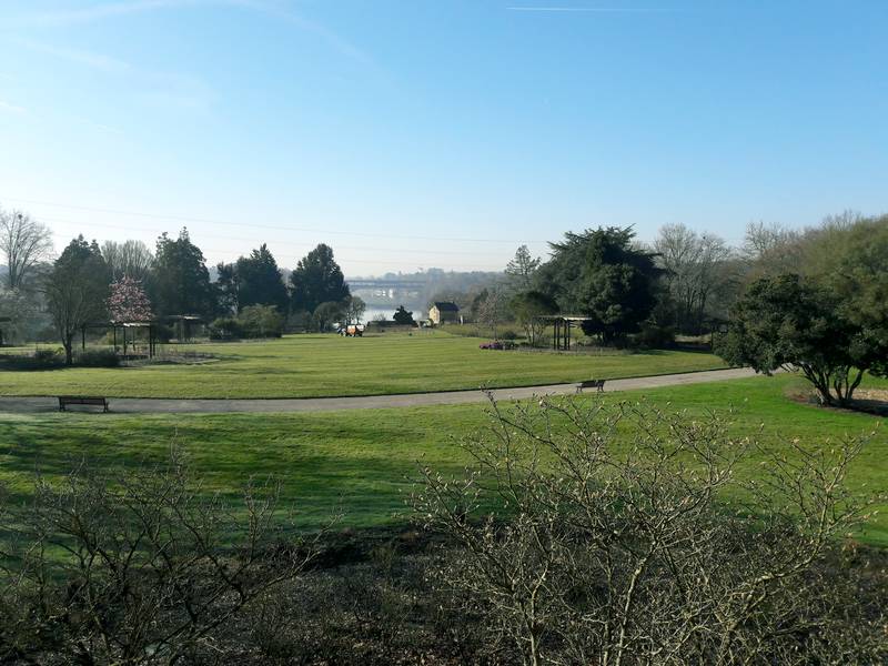 Chantier de taille de rosiers, parc de la Roseraie (Ville de Nantes), classes de 2nde Pro Aménagement et de CAPa 2 Jardiniers Paysagistes