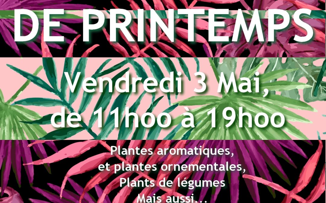 Vente de Printemps pour les 48H de l’agriculture urbaine