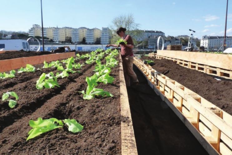 Licence Pro Agricultures Urbaines et Périurbaines