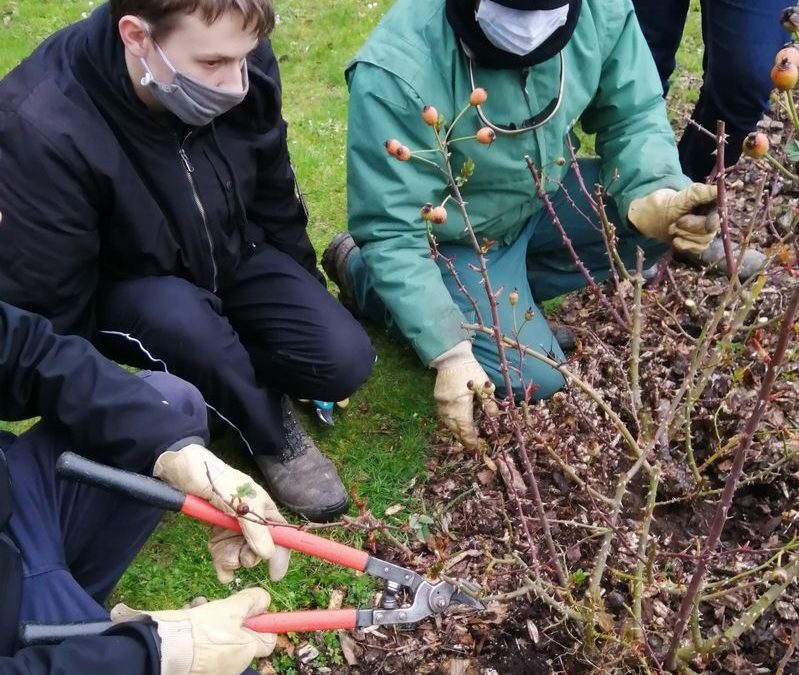 Sortie et chantier au parc de la Beaujoire