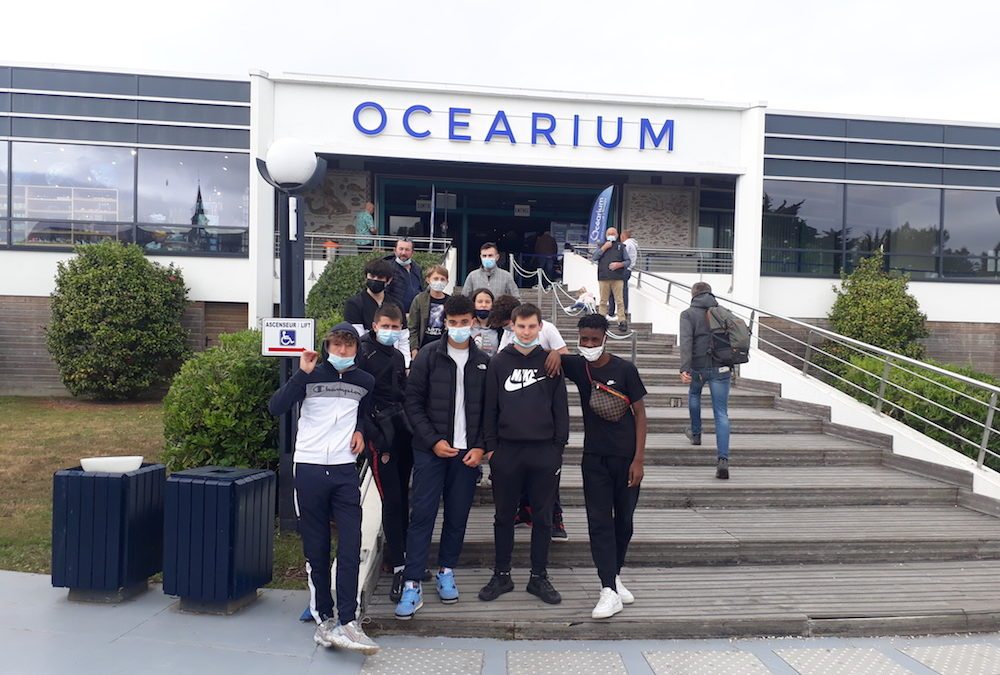 Visite de l’Océarium par la classe de 3eme