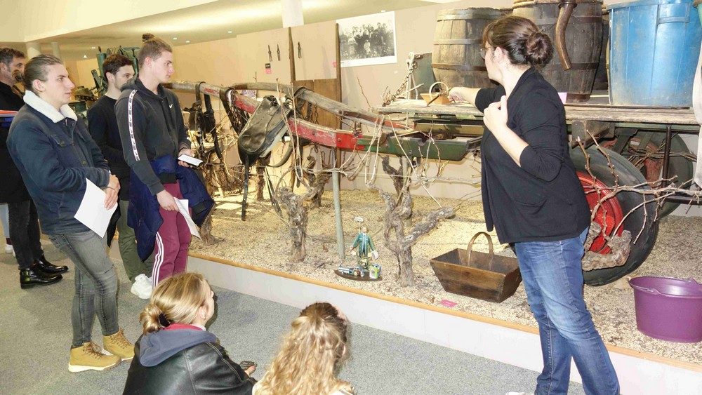 Visite du Musée du Vignoble Nantais