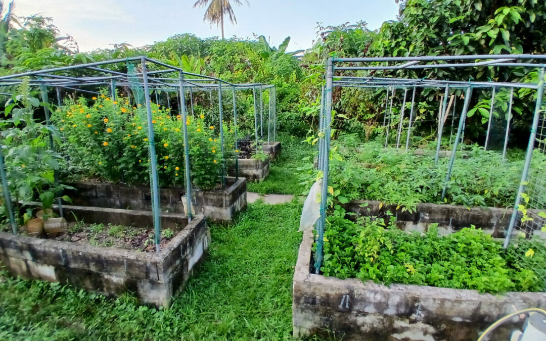 Un stage en Malaisie